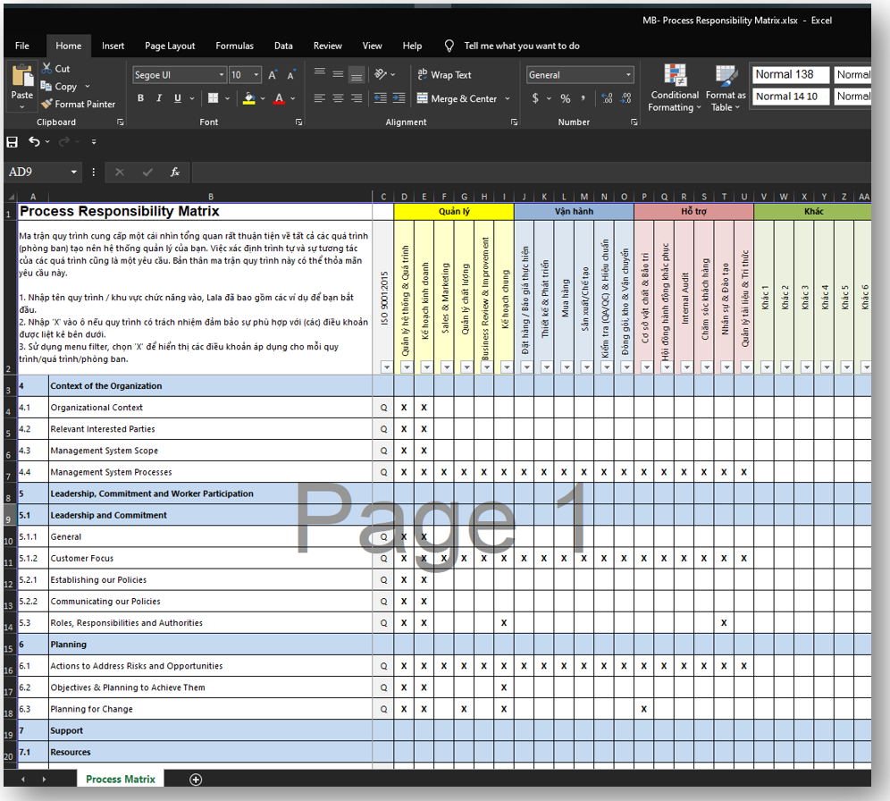 Process Matrix