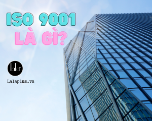 ISO9001 la gi